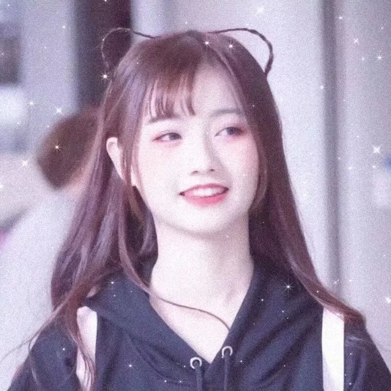 毛茸茸的狗